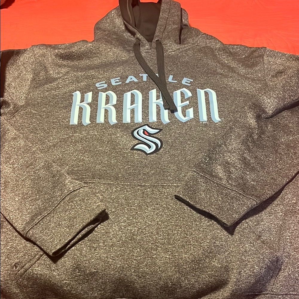 Champion Gray Sweatshirt Hoodie